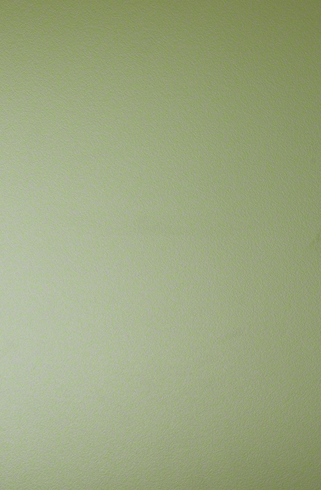 0214 Verde Tenero - ERRE - Plain Colour Range 