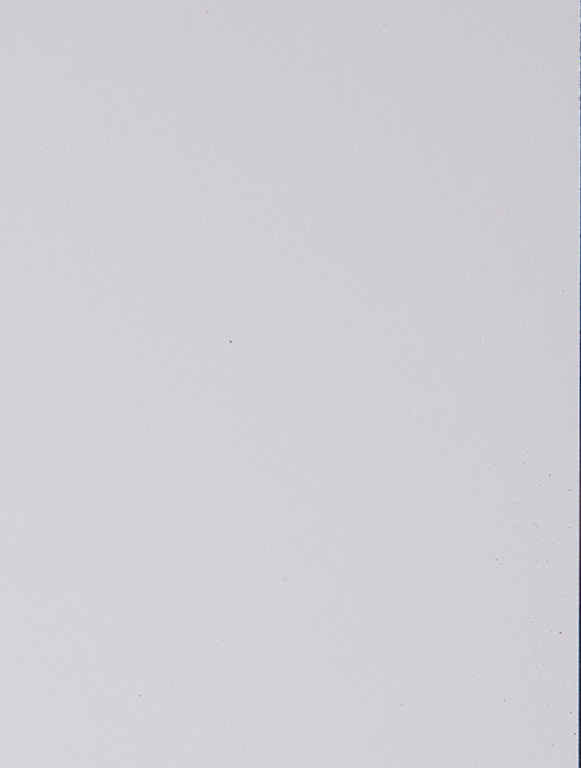 0249 Bianco Decò - Plain Colour Range