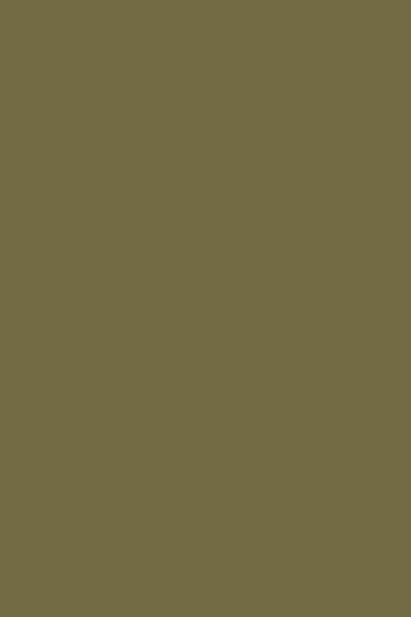 C035 Camouflage - Papago 'Tendance' Range - Polyrey Laminate