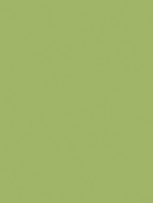Formica F8820 Leaf Green - Compact Laminate Range