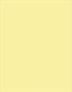 0415 (Fresh Yellow)