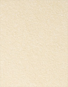 8073 (Natural Limestone)