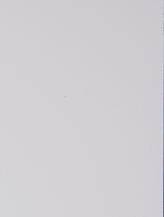 0249 Bianco Decò - Unicolor 