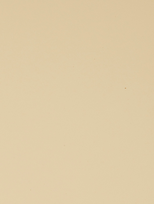 0256 Giallo Pastello - Plain Colour Range 