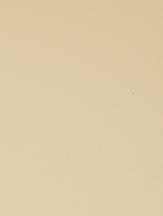 0256 Giallo Pastello - Plain Colour Range 