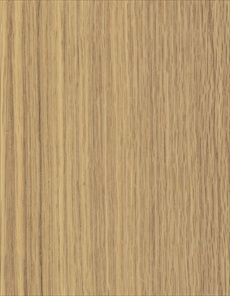 C036 / American White Oak