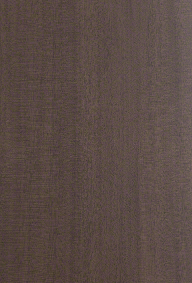 E024 / Erable de Laponie - Origine 'Tendance' Range