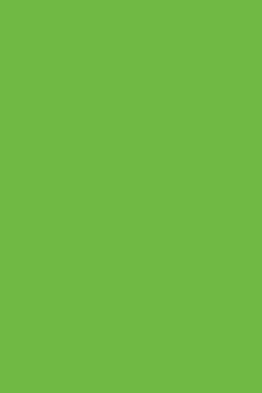 F6901 Vibrant Green - Satin NDF Range 