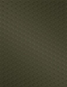 F1992 Black Studs