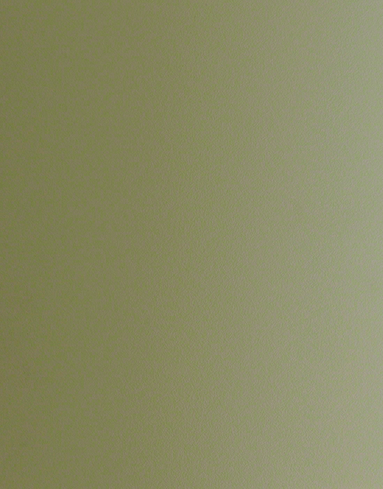 F3007 Pale Olive - Plain Colour Range