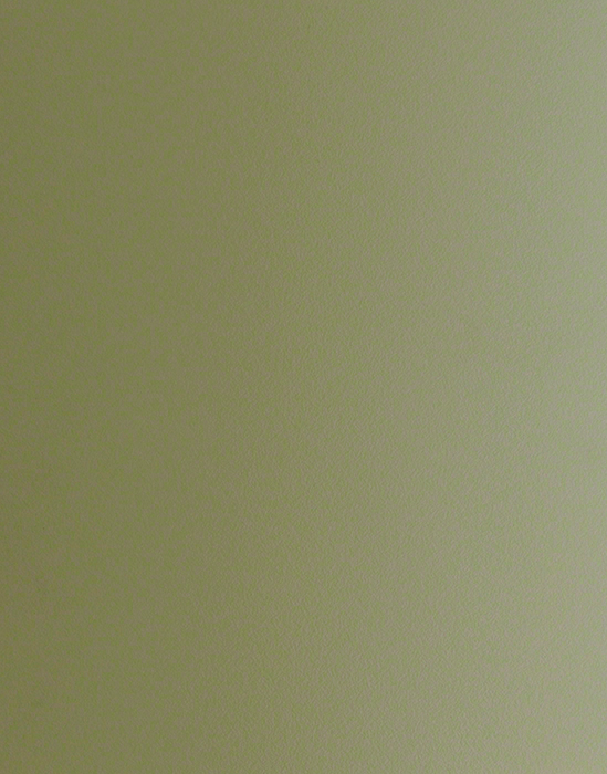 Laminate Bonding Service - F3007 Pale Olive 