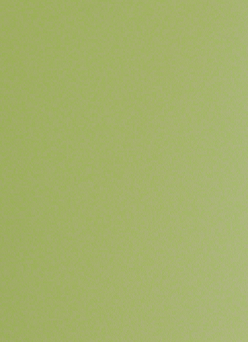 F4177 Lime - Plain Colour Range