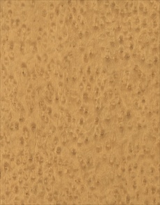 F4188 Toffee Wood