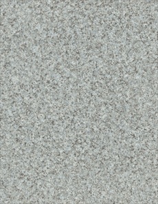 F5105 Sion