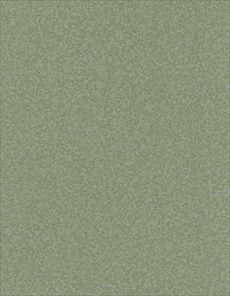 F5119 Bay Argo