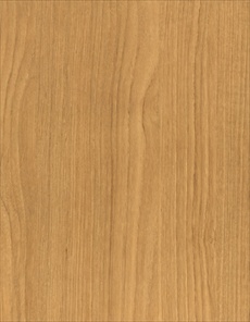 F5151 Contemporary Teak