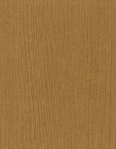 F5155 Coffee Tree