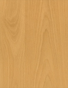 F5156 Mature Beech