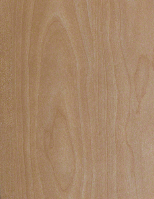 F5161 Golden Birch - Compact Laminate Range