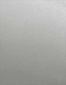 F5164-47 Powdered Stainless