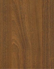 F5906 Classic Mahogany