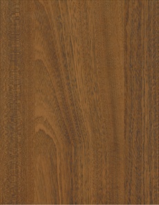 F5906 Classic Mahogany