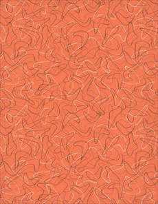 F6941 Coral Boomerang