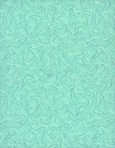 F6959 Aqua Boomerang