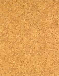 F7745 Corkboard