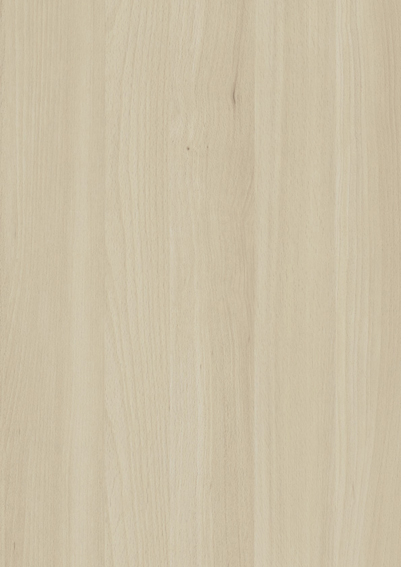 H028 Hêtre Bergen - Origine 'Tendance' Range 