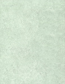 K5814 Primavera