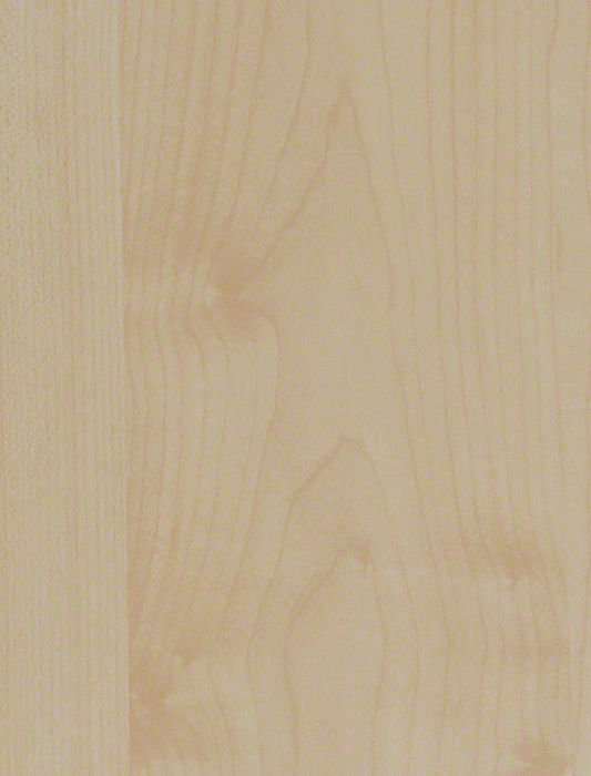 K7555 Manitoba Maple - RECODED