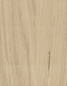 O032 / Américan Oak