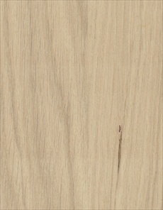 O032 / Américan Oak