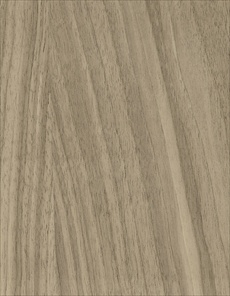 O037 / 	American Walnut