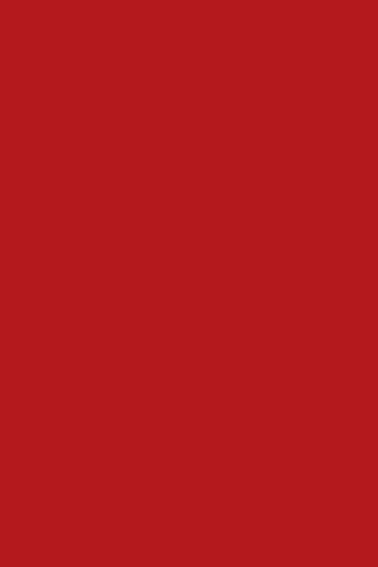 R036 Rouge Cerise - Papago 'Tendance' Range