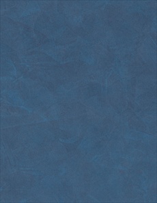 S096 Stucco Cobalt - Expression Range