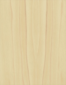 T047 / 	Tulipwood