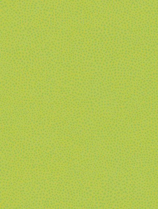 Z021 Zeste Citron Vert - Expression Range