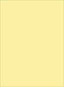 0415 (Fresh Yellow)