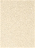 8073 (Natural Limestone)