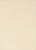 8073 (Natural Limestone)