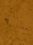 2211 Sunlight - Materic Expressions  