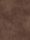 B094 Brushed Copper - Polyrey Metallics Range