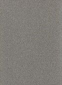 F1763 Charcoal Dust