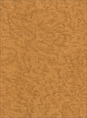 F3011 Caramel Birdseye