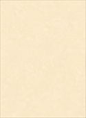 F5096 Cream Mistral
