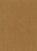 F5155 Coffee Tree