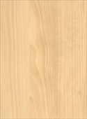 F5158 Pippin Apple