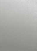 F5164-47 Powdered Stainless